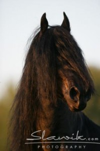 Obrazek